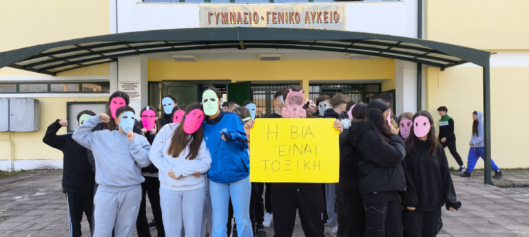 Γυμνάσιο Νέου Σκοπού Σερρών