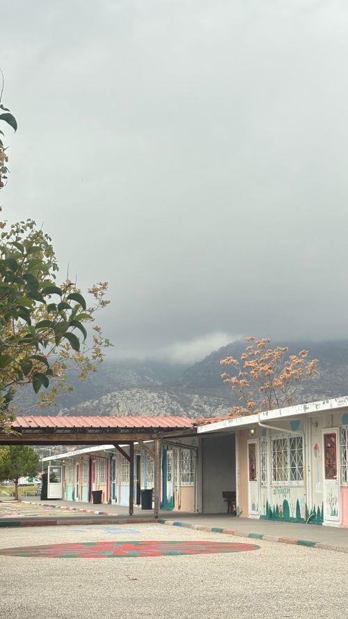 196927B1-1080-43FE-86B5-B1BD25811948