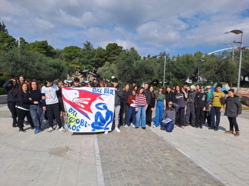 εικόνα_Viber_2026-03-06_15-56-25-777
