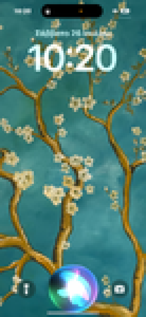 img-4655.png